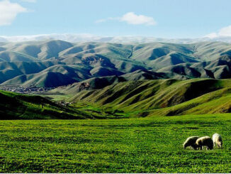 Mongolia Interior acelera el desarrollo de la industria del hidrógeno verde