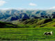 Mongolia Interior acelera el desarrollo de la industria del hidrógeno verde